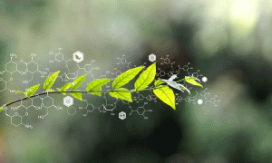 آشنایی با روش سونوکِمیکال (Sonochemical)؛ روشی بر پایه امواج التراسونیک